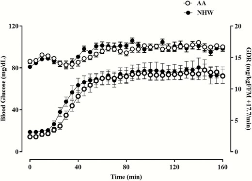 Hyperinsulinemic euglycemic glucose clamp studies in AA and NHW subjects. Data shown are the mean ± SEM for blood glucose concentration and glucose infusion rate plotted as a function of time.