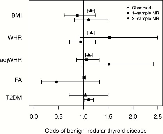 Forest plot showing observed, 1 sample MR and 2 sample MR (instrumental variable analysis) associations between BMI, WHR, adjWHR, favorable adiposity, T2DM, and benign nodular thyroid disease. Odds ratios and 95% confidence intervals are shown (there are no observational estimates for favorable adiposity because this phenotype of higher adiposity and lower risk of metabolic disease can only be tested in this context with genetic variants. One-sample MR was not performed for T2DM because of the difficulty interpreting results using binary variables). adjWHR, WHR adjusted for BMI; BMI, body mass index; MR, Mendelian randomization; T2DM, type 2 diabetes mellitus; WHR, waist-hip ratio.