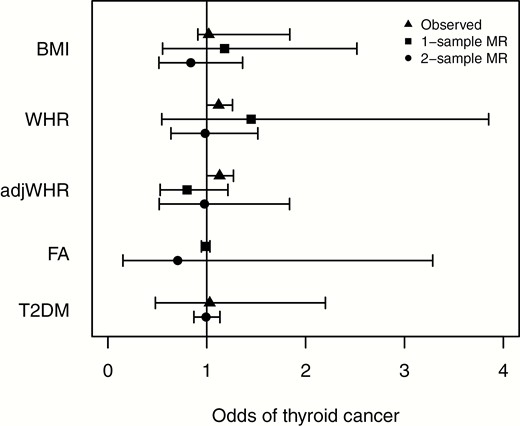 Forest plot showing observed, 1 sample MR and 2 sample MR (instrumental variable analysis) associations between BMI, WHR, adjWHR, favorable adiposity, T2DM, and thyroid cancer. Odds ratios and 95% confidence intervals are shown (there are no observational estimates for favorable adiposity because this phenotype of higher adiposity and lower risk of metabolic disease can only be tested in this context with genetic variants. One-sample MR was not performed for T2DM because of the difficulty interpreting results using binary variables). adjWHR, WHR adjusted for BMI; BMI, body mass index; MR, Mendelian randomization; T2DM, type 2 diabetes mellitus; WHR, waist-hip ratio.