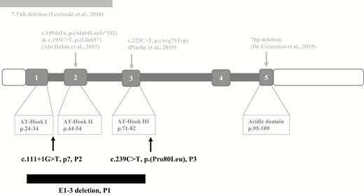 Structure of the HMGA2 gene and its protein, and localization of the reported (in gray, upper panel) and the new pathogenic variants (black, lower panel). (From Leszinski GS, Warncke K, Hoefele J, Wagner M. A case report and review of the literature indicate that HMGA2 should be added as a disease gene for Silver-Russell syndrome. Gene 2018;663:110-114). (not to scale)