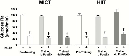 Hepatic glucose production in response to training. Glucose rate of appearance in the systemic circulation under fasting and insulin-stimulated conditions (MICT n = 14, HIIT n = 10). †Significant main effect of insulin (P < 0.05). There were no significant main effects of group or visit, and no significant interactions. Data are presented as mean ± SEM. HIIT, high-intensity interval training; MICT, moderate-intensity continuous training.