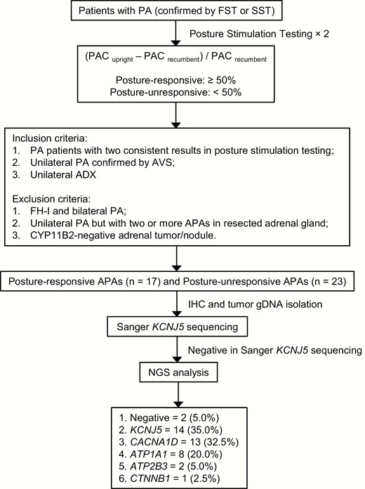 Flowchart of patient recruitment and study procedure.