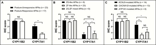 Immunoreactivity of CYP11B2 and CYP17A1 among different groups.