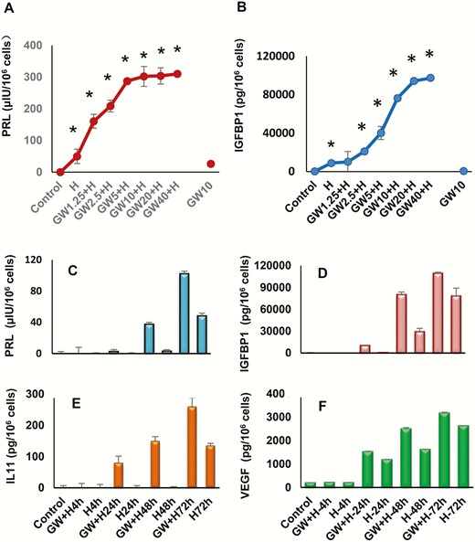 Dose-responsive effects of peroxisome-proliferator-activated receptor β/δ (PPARβ/δ) agonist (GW) and hormones (“H”) alone and in combination and time-course effects (GW + H) on A, prolactin (PRL) and B, insulin-like growth factor-binding protein 1 (IGFBP-1) secretion were evaluated by enzyme-linked immunosorbent assay (ELISA). In the presence of H, GW had apparent EC50s ranging from 1 to 5 μM. The incubation time was 72 hours. Asterisks signify dose-response effects different from control conditions (P < .05, n = 3).Time-course effects of GW on secretory behavior of differentiated endometrial stromal cells. ELISAs were used to quantify C, PRL, D, IGFBP-1, E, interleukin 11 (IL-11), and F, vascular endothelial growth factor (VEGF) secretion by these cells. The data reflect the effects of up to 72 hours of H alone, and also the additive responses to a combination of 10 μM GW + H.
