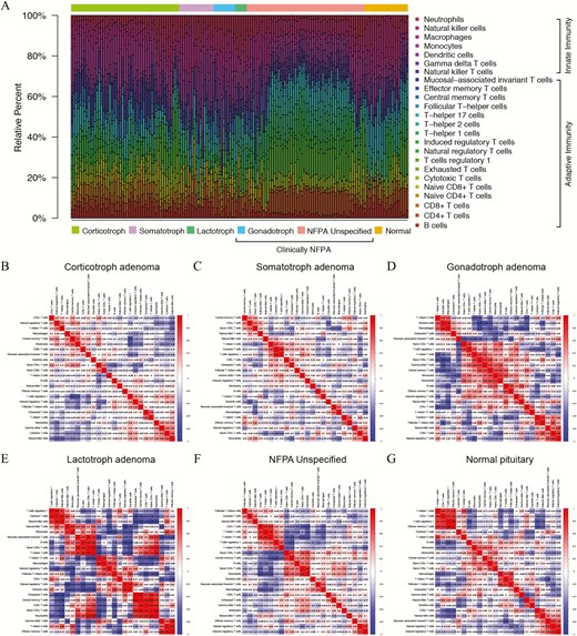 Estimation of tumor-infiltrating immune cells (TIICs) in pituitary adenomas and normal pituitaries from GEO database based on ImmuCellAI. (A) The relative abundances of the 24 types of TIICs are indicated by various colors. (B-G) Correlation analyses of the TIICs in corticotroph adenomas, somatotroph adenomas, gonadotroph adenomas, lactotroph adenomas, clinically nonfunctioning adenomas (NFPAs), and normal pituitaries. The red color represents a positive correlation, and the blue color indicates a negative correlation.