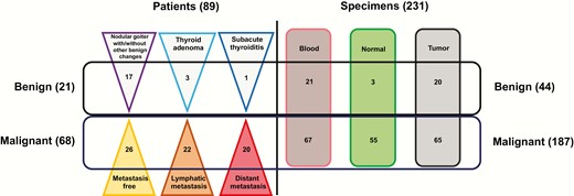 Thyroid tumor specimen collection: The left panel shows the numbers of patients with benign nodules and malignant tumors (including metastatic status); the right panel shows the numbers of specimens with different tissue origins.