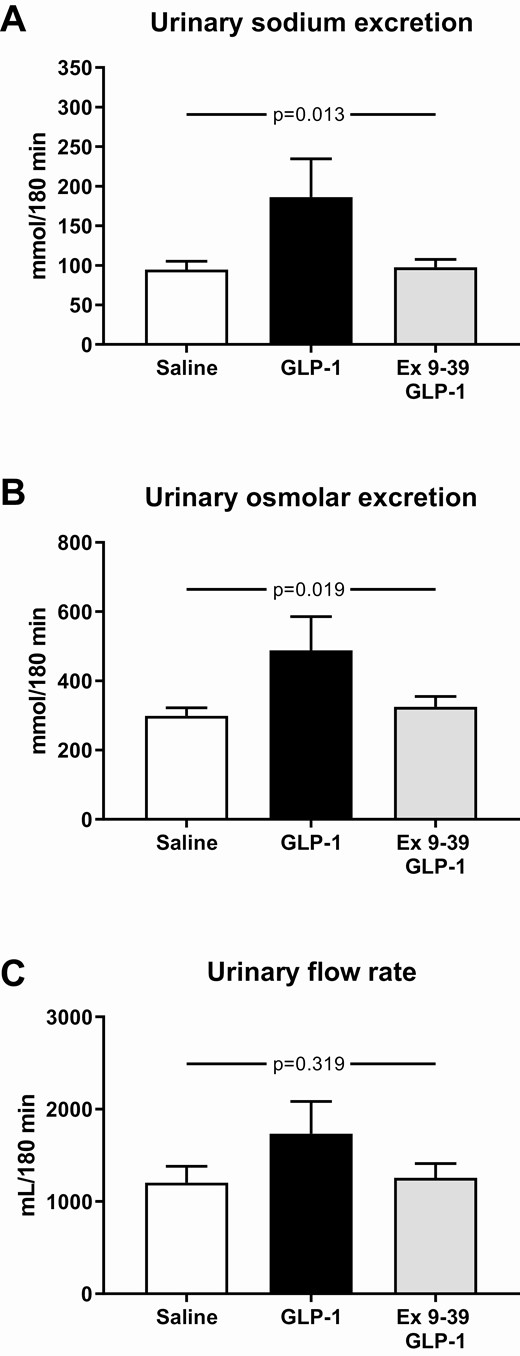 Mean urinary sodium excretion (A), urinary osmolar excretion (B), and urinary flow rate (C) during the infusions from 0 to 180 minutes. The participants took part in a recent, reported study (1) and published data from this study during a 3-hour infusion of saline or a 3-hour infusion of GLP-1 are shown here for comparison with permission. A nonparametric alternative to the 1-way ANOVA for repeated measures was conducted, using the Friedman Test, leading to P < 0.001 (urinary sodium excretion), P = 0.003 (urinary osmolar excretion), P = 0.908 (urinary flow rate). Data are presented as means ± SE.