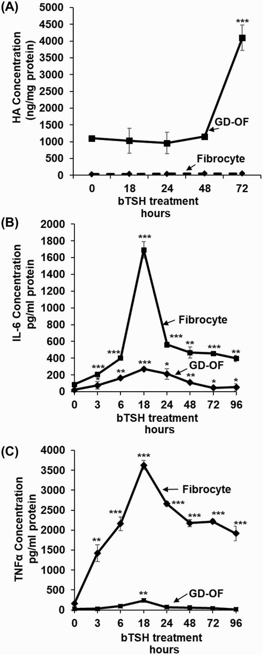 Time-dependent effects of bTSH on hylauronan (HA), IL-6, and TNF-α synthesis in fibrocytes and GD-OF. Confluent cell cultures were shifted from growth medium containing 10% FBS to DMEM supplemented with 1% FBS for 18 hours. They remained untreated or received bTSH (5 mIU/mL) for the graded intervals indicated along the figure abscissas. At time “0,” all cultures were harvested. Media were collected and analyzed by specific ELISAs for (A), HA, (B) IL-6, and (C) TNF-α. These values were normalized to respective cell layer protein content. Data are expressed as mean ± SD of triplicate independent determinations. Experiments were performed 3 times; * P < 0.05; ** P < 0.01; *** P < 0.001.