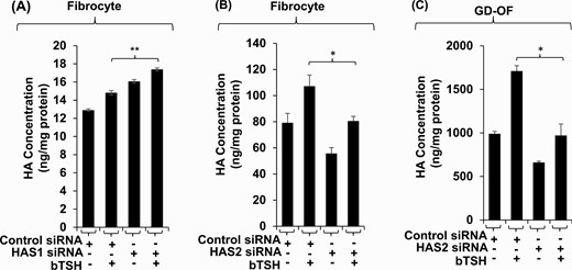 Knocking down HAS isoenzymes reveals relative contributions of each to bTSH-induced HA synthesis n fibrocytes and GD-OF. Confluent cultures were transfected with either control siRNA (3µg) specific HAS1 (A) or HAS2 (B, C) targeting siRNA (3µg) using the CD34+ nucleofection kit as described in “Methods.” After 24 hours of re-culture, monolayers were treated with nothing or bTSH (5 mIU/mL) for 72 hours. Media were harvested and subjected to HA ELISA quantification. HA concentrations were normalized to respective monolayer protein content. Data are expressed as mean ± SD of triplicate independent determinations. Experiments were repeated 3 times. * P < 0.05; ** P < 0.01.