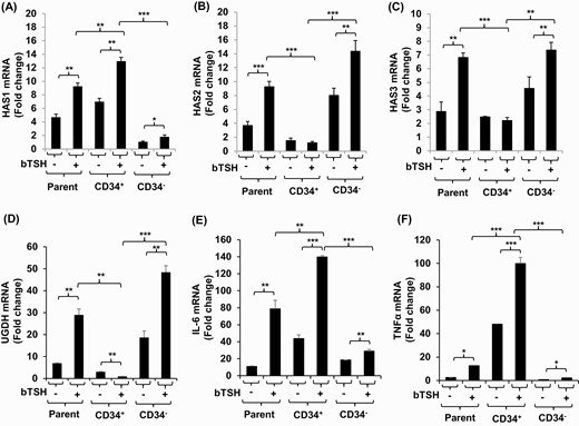 Localization of HAS1, HAS2, HAS3, UGDH, IL-6, and TNF-α expression and induction by bTSH to CD34+ OF and CD34- OF subsets of GD-OF. GD-OF were sorted into pure CD34+ and CD34- cell populations as described in “Methods.” These were re-cultured for 48 hours, the final 6 hours in the absence or presence of bTSH (5 mIU/mL). RNA was extracted, reverse-transcribed, and subjected for quantitative RT-PCR for the target genes indicated. Transcript levels were normalized to their respective GAPDH signals. Data are expressed as mean ± SD of triplicate independent determinations from a single experiment representative of 3 conducted. * P < 0.05; ** P < 0.01; *** P < 0.001.