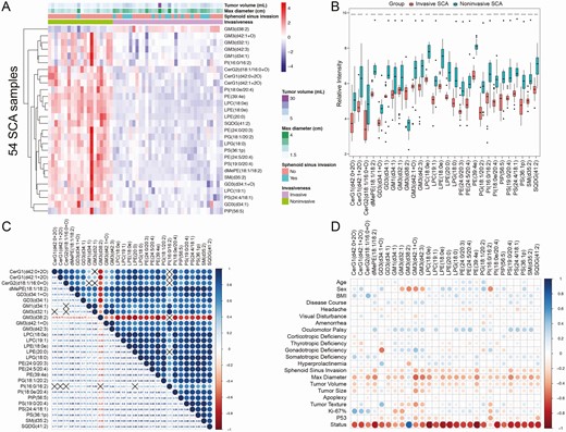 Differential lipids and correlation analysis. (A) Clustering heatmap of 28 differential lipids between invasive and noninvasive SCA samples. Red indicates high intensity, and blue indicates low intensity. Tumor volume, maximum tumor diameter, and sphenoid sinus invasion demonstrated significant differences between invasive and noninvasive SCAs, as displayed in the heatmap. (B) The boxplots of 28 differential lipids indicated significant differences between invasive and noninvasive SCA samples (all P < .05). ****P < .001, ***P < .01, **P < .05, and *P < .1. (C) Correlation analysis of the 28 differential lipids. Red indicates a negative correlation, and blue indicates a positive correlation. The black cross indicates P > .05. (D) Correlation analysis between the differential lipids and clinicopathological variables.