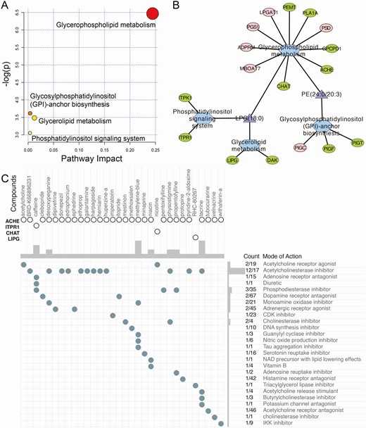 Construction of the functionally connected network. (A) Pathway analysis of the differential lipids. (B) Multiomic functionally connected network with 2 lipids, 17 genes, and 4 KEGG pathways. Red represents upregulated genes, green represents downregulated genes, purple triangles represent lipids, and blue hexagons represent KEGG pathways. (C) CMap analysis revealed 32 potential drugs targeting 4 genes and 26 molecular pathways.