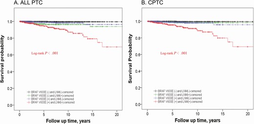 Kaplan-Meier analyses of patient survival probability associated with LNM and the impact of the BRAF status on it in PTC. Shown are censored survival curves. The analyses were performed on the entire cohort of PTC (A) and on CPTC alone (B). In each panel, patients were divided into 4 groups: patients without BRAF V600E mutation and LNM (BRAF V600E− and LNM−, black line); patients without BRAF mutation but with LNM (BRAF V600E− and LNM+, green line); patients with BRAF mutation but without LNM (BRAF V600E+ and LNM−, blue line); and patients with both BRAF mutation and LNM (BRAF V600E+ and LNM+, red line). Abbreviations: CPTC, conventional papillary thyroid cancer; LNM, lymph node metastasis; PTC, papillary thyroid cancer.