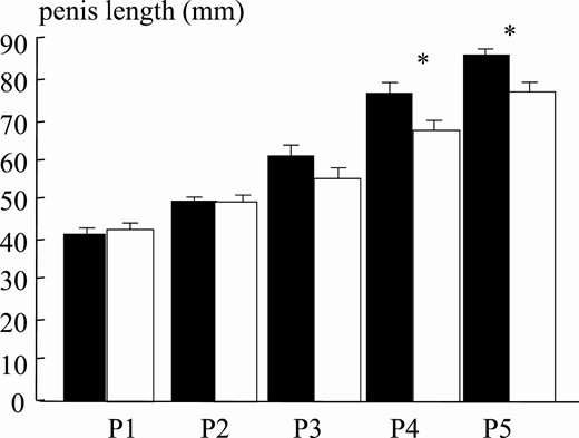 Mean penis length at puberal stages for normal-weight (black bars) and obese (white bars) boys. Asterisk indicates P less than .05.