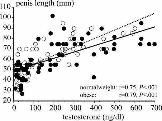Correlation between testosterone levels and penis length during puberty in normal-weight (black dots) and obese (white dots) boys.