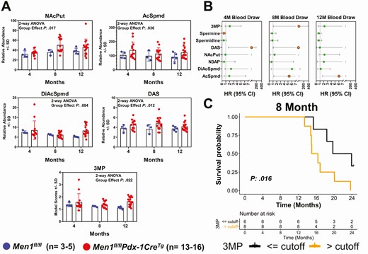 Association between plasma polyamines and disease progression in a mouse model of multiple endocrine neoplasia type 1–pancreatic neuroendocrine tumor (MEN1-pNET). A, Scatter plots illustrating relative abundance (area units ± SD) of plasma polyamines N-acetylputrescine (NAcPut), acetylspermidine (AcSpmd), diacetylspermidine (DiAcSpmd), diacetylspermine (DAS), and the polyamine signature at 4-, 8-, and 12-month blood collection time points in Men1fl/flPdx1-CreTg mice and littermate (Men1fl/fl) controls. The 3-marker plasma polyamine signature (3MP) consisting of AcSpmd + DiAcSpmd + NAcPut was developed in the human cohort of patients with MEN1 and applied, using fixed coefficients, to the MEN1-pNET mouse model. Statistical significance was determined by 2-way analysis of variance (ANOVA); 1-sided P values for group effect (Men1fl/flPdx1-CreTg/Men1fl/fl status) are reported. B, Time-dependent hazard ratios (HR; 95% CI) per unit log2 increase in relative abundance (area units) of individual polyamines as well as the 3MP for association with overall survival. Orange nodes indicate statistical significance (1-sided P < .05) C, Kaplan-Meier survival curve illustrating association between plasma polyamine signature scores at the 8-month blood collection time point and overall survival in Men1fl/flPdx1-CreTg mice. High (> cutoff; orange line) and low (≤ cutoff; black line) levels of the polyamine signature were defined based on an optimal changepoint value–derived log rank test statistics-based method as described by Contal and O’Quigley (24). Statistical significance between survival curves was determined by 1-sided log-rank (Mantel-Cox) test.