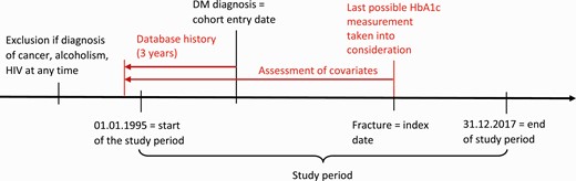 Graphical representation of the timeline of the study.