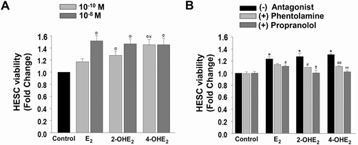 Regulation of HESC viability by E2or 2-OHE2or 4-OHE2. (A) XTT cell viability index in HESC monolayers (n = 6) treated with control (vehicle) or E2 or 2-OHE2 or 4-OHE2 at 10-10 M and 10-8 M. (B) Parallel experiments (n = 4) evaluating inhibitory effects of phentolamine (α-AR antagonist; 2 × 10-5 M 1-hour pretreatment) or propranolol (β-AR antagonist; 2 × 10-5 M 1-hour pretreatment) on 10-8 M 2-OHE2 or 4-OHE2-induced cell viability. Bars represent means ± standard error of the mean as fold changes vs control. *P < 0.05 or ΦP < 0.01 vs control; ¥P < 0.05 vs E2. Partial inhibition (#P < 0.05, ##P < 0.001), defined as statistically significant attenuation of the catecholestradiol-induced survival response with addition of an AR antagonist. Complete inhibition (ϮP < 0.05, ϮϮP < 0.001), defined as statistically significant abrogation of the catecholestradiol-induced survival response with addition of an AR antagonist to the survival levels of control treatment. 2-OHE2, 2-hydroxyestradiol; 4-OHE2, 4-hydroxyestradiol; AR, adrenergic receptor; E2, 17β-estradiol; HESC, human endometrial stromal cell; XTT: 2,3-bis-(2-methoxy-4-nitro-5-sulfophenyl)-2H-tetrazolium-5-carboxanilide.
