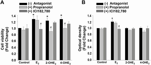 Cell survival effect of catecholestradiols in Ishikawa cells is not associated with estrogen receptors. Effect of propranolol (β-adrenergic receptor antagonist; 2 × 10-5 M 1-hour pretreatment) or ICI182,780 (nonspecific antagonist of estrogen receptors; 10-6 M 1-hour pretreatment) on catecholestradiol-induced Ishikawa cell survival treated with control (vehicle) or 10-8 M E2 or 2-OHE2 or 4-OHE2 as measured by XTT assay (A, n = 3) and estrogenicity via induction of alkaline phosphatase activity (B, n = 9). Bars represent means ± standard error of the mean as fold changes vs control. *P < 0.05 vs control; #P < 0.05 treatment with steroid plus antagonist vs treatment with corresponding steroid-only. 2-OHE2, 2-hydroxyestradiol; 4-OHE2, 4-hydroxyestradiol; E2, 17β-estradiol; ER, estrogen receptor; HESC, human endometrial stromal cell; XTT, 2,3-bis-(2-methoxy-4-nitro-5-sulfophenyl)-2H-tetrazolium-5-carboxanilide.