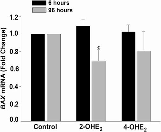 2-OHE2treatment decreases BAX mRNA expression in HESC cultures.BAX mRNA expression by qPCR under treatment with control or 2-OHE2 or 4-OHE2 (10–8 M) for 6 hours (n = 4) or 96 hours (n = 5). Bars represent means ± standard error of the mean as fold changes vs control. ΦP < 0.01 vs control at 96 hours. 2-OHE2, 2-hydroxyestradiol; 4-OHE2, 4-hydroxyestradiol; HESC: human endometrial stromal cell; q PCR, quantitative PCR.