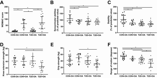 Musculoskeletal function. Parameters of musculoskeletal function in individuals with normal glucose tolerance and no osteoarthritis (CON-OA, circles), with osteoarthritis (CON+OA, squares), patients with type 2 diabetes without osteoarthritis (T2D-OA, triangles), and with osteoarthritis (T2D+OA, inverted triangles) showing osteoarthritis-related symptoms quantified by the A, Western Ontario and McMaster Universities Osteoarthritis Index (WOMAC) score; B, sensorimotor abilities; C, stability; D, knee extension strength; E, grip strength; and F, knee range of motion. Data shown as individual values and bars for mean and SD. P values refer to comparison of data adjusted for age, sex, and body mass index. Data were ln-transformed where applicable. *P less than or equal to .05.