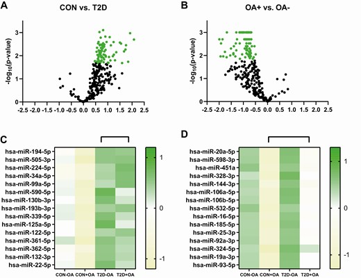 microRNA expression levels. Differences in microRNA expression levels between individuals with normal glucose tolerance (CON) and patients with type 2 diabetes (T2D) are depicted as a volcano plot with statistically significant different microRNAs marked as A, green circles showing a tendency for upregulation in patients with type 2 diabetes. Further stratification of the top 15 statistically different microRNAs is presented in a heat map for individuals with normal glucose tolerance without osteoarthritis (CON-OA), with osteoarthritis (CON+OA), patients with type 2 diabetes without osteoarthritis (T2D-OA), and with osteoarthritis (T2D+OA). Differences in microRNA expression levels between individuals with osteoarthritis (+OA) and patients without osteoarthritis (-OA) are depicted as volcano plot with statistically significant different microRNAs marked as B, green circles showing a tendency for downregulation in individuals with normal glucose tolerance without osteoarthritis. Further stratification of the top 15 statistically different microRNAs is presented in a heat map for individuals with normal glucose tolerance without osteoarthritis (CON-OA), with osteoarthritis (CON+OA), patients with type 2 diabetes without osteoarthritis (T2D-OA), and with osteoarthritis (T2D+OA). Green shades depict upregulation, whereas yellow shades depict downregulation.