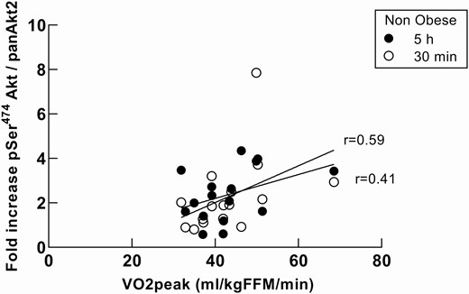 VO2 peak association with Akt2 response in nonobese subjects during a hyperinsulinemic-euglycemic clamp. Association between VO2 peak and Akt2 specific phosphorylation for the nonobese group at 30 minutes (r = 0.59, P = 0.016) and at 5 hours (r = 0.41, P = 0.11). There was no association between either Akt phosphorylation and VO2 peak for the obese group or in the responses of AS160 and GS3Kβ and VO2 peak.