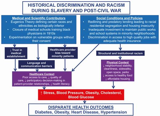 Medical, scientific, and social policy contributors to health and health care disparities in African Americans in the United States.