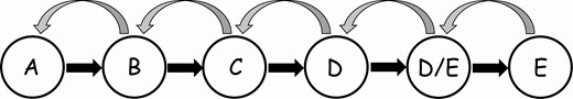 Diagram of multistate model of transitions among breast morphological stages A to E.