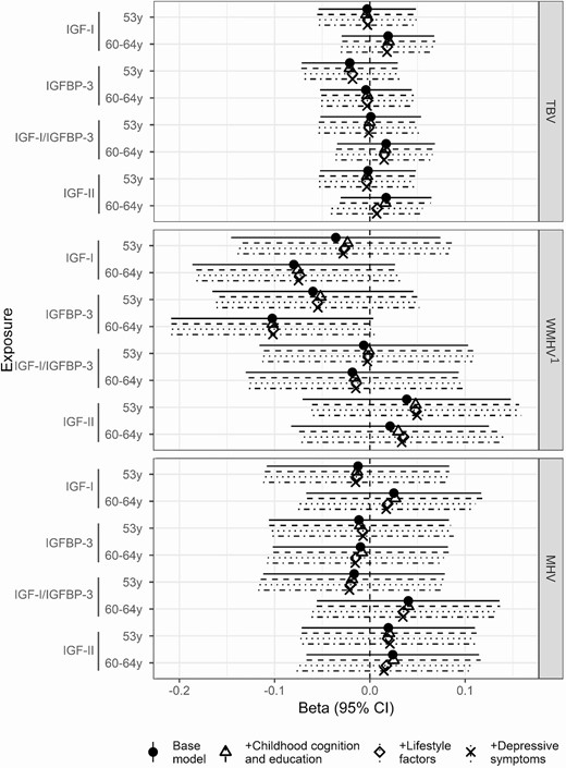 Beta coefficient and 95% confidence interval for the effect of IGF-I, IGFBP-3, and IGF-I/IGFBP-3 at ages 53 years and 60 to 64 years on TBV, WMHV, and MHV at age 69 to 71 years in the Insight 46 substudy. Models were adjusted for sex and age at scan (base model); sex, early life cognition, and lifetime education (+childhood cognition and education model); sex, age at scan, early life cognition, lifetime education, and smoking (+lifestyle factors); and sex, age at scan, early life cognition, lifetime education, smoking, and depressive symptoms (+depressive symptoms). * significant at P < 0.05, ** significant at P < 0.01. Abbreviations: MHV, mean hippocampal volume; TBV, total brain volume; WMHV, white matter hyperintensity volume. 1Effect sizes are shown on a logarithmic scale.