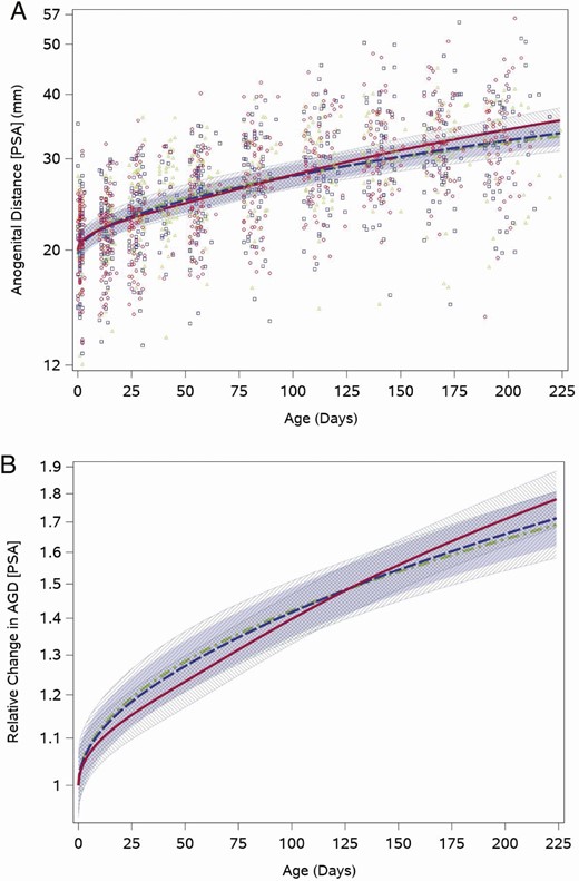 Feeding group–specific fitted posterior scrotum to anus (PSA) distance trajectories across infant age adjusted for weight for length z-score. Trajectories for soy formula fed infants are represented by the red solid line, cow milk formula–fed infants are represented by the blue long-dashed line, and breastfed infants are represented by the green dot-dashed line. Shaded bands represent 95% CI for each feeding group–specific trajectory: soy formula fed, diagonal upward to the right; cow milk formula fed, solid gray; breastfed, diagonal downward to the right. (A) Open symbols represent individual posterior scrotum to anus distances for infants in the study; red circles for soy formula fed infants, blue squares for cow milk formula–fed infants, and green triangles for breastfed infants. (B) Feeding group–specific trajectories fitted to the data were shifted vertically to a common intercept at 1 to better display postnatal changes (ie, fitted log-transformed posterior scrotum to anus length at a given age minus fitted log-transformed posterior scrotum to anus length at birth). Thus, the vertical axis represents relative change in posterior scrotum to anus length since birth.