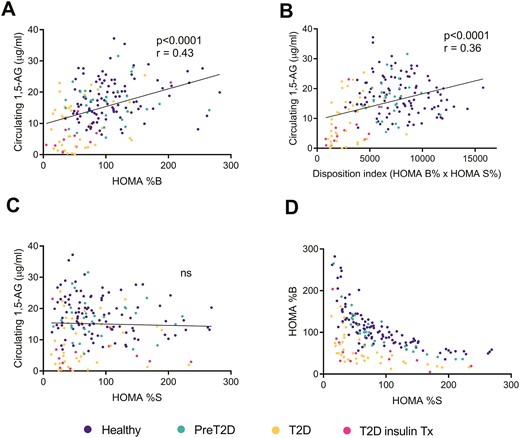 Linear correlation between circulating 1,5-anhydroglucitol (1,5-AG) levels and (A) the estimate of insulin secretion (HOMA %B), (B) the disposition index of static measures (HOMA %B × HOMA %S), and (C) insulin sensitivity (HOMA %S) in healthy subjects, preT2D participants, and T2D patients from the Geneva and the Maastricht cohorts. (D) Estimate of insulin secretion (HOMA %B) plotted against insulin sensitivity (HOMA %S) of the same cohorts. HOMA indexes were calculated using the HOMA2 method integrating fasting plasma glucose and fasting serum insulin values. Details on blood collection are provided in Table S1. Abbreviation: ns, not significant.