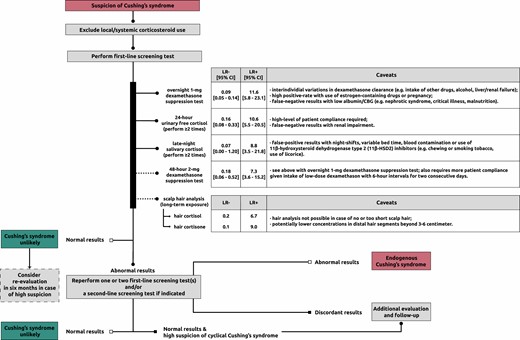 Diagnostic workup of Cushing syndrome. Flowchart is based on Lacroix et al (3). The likelihood ratios (LRs) for the first-line screening tests and scalp hair analysis concern pooled data from (47) and findings from (48), respectively. LRs take sensitivity and specificity into account and determine the posttest probability given a certain pretest probability (higher LR+ = increasing probability of disease with positive test result; lower LR- = decreasing probability of disease with negative test result). Abbreviations: CBG, cortisol-binding globulin; LR-, negative likelihood ratio; LR+, positive likelihood ratio.