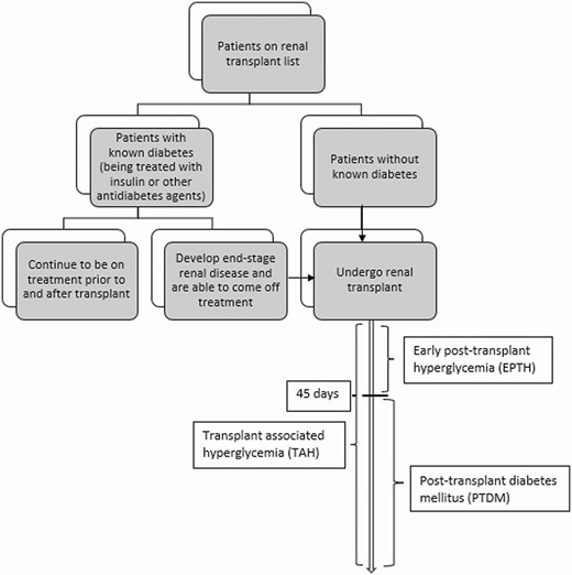 Terminologies used for post–renal transplant hyperglycemia and timing.