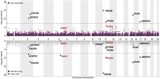 Miami plot for sex-combined and sex-specific single-marker association results for body mass index–adjusted waist-to-hip ratio (WHRadjBMI). Top: Manhattan plot representing results from the main, sex-combined genome-wide association studies for WHRadjBMI for genotyped, rare nonsynonymous variants (MAF = 0.1%-0.5%, correlation and rare allele concordance > 0.9 when compared to the exome sequencing data). Gene annotations for the genome-wide significant variants from the main, sex-combined analyses are shown in black; gene annotations and significance from the main, sex-combined analyses for variants that were genome-wide significant in sex-specific analyses (women) only are shown in red. Bottom: Sex-specific significance of the variants highlighted previously.