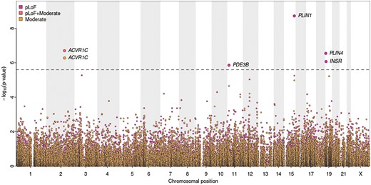 Gene-based association results. Gene-based exome-wide discovery results for body mass index–adjusted waist-to-hip ratio (WHRadjBMI). The horizontal dashed line represents the exome-wide significance threshold (P = 2.53 × 10–6).
