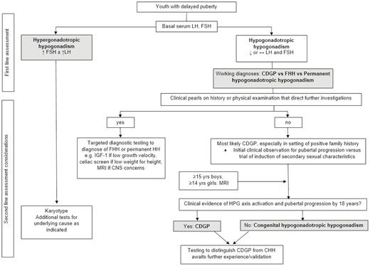 Diagnostic clinical approach to youth with delayed puberty. Abbreviations: CDGP, constitutional delay of growth and puberty; CHH congenital hypogonadotropic hypogonadism; CNS, central nervous system; FHH, functional hypogonadotropic hypogonadism; HH hypogonadotropic hypogonadism; HPG, hypothalamic-pituitary-gonadal; MRI, magnetic resonance imaging.