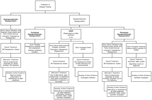 Approach to the management of delayed puberty in males. Abbreviations: CDGP, constitutional delay of growth and puberty; hCG, human chorionic gonadotropin; hMG, human menopausal gonadotropin; SC, subcutaneous.