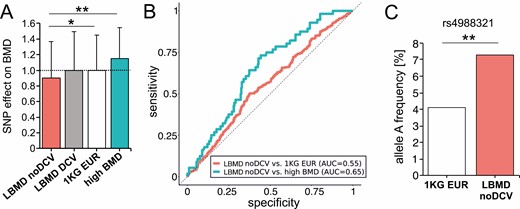 Role of common BMD-associated and rare deleterious variants in LBMD individuals without monogenic DCV. (A) Comparison of BMD predicted by a GRS relative to healthy controls between LBMD without DCV (LBMD noDCV: 312), the LBMD with DCV (LBMD DCV: n = 82), the 1KG EUR control cohort (1KG EUR: n = 503), and individuals with high BMD (high BMD: n = 56). (B) ROC curves of GRSs of common variants associated with BMD. The GRS of individuals with LBMD without DCV (LBMD noDCV) was compared with 1KG EUR (red) and high BMD (blue). An AUC of 0.5 (dashed line) shows a random partitioning. Full partitioning using GRS would be achieved at an AUC of 1.0. (C) The frequency of one of the strongest BMD-influencing common variants, SNP rs4988321, in LRP5 is significantly increased in LBMD noDCV compared with controls (*P < 0.05, **P < 0.01). 1KG EUR, 1000 Genomes Project; AUC, area under the curve; BMD, bone mineral density; DCV, disease-causing variant; GRS, genetic risk score; LBMD, low bone mass disorder; ROC, receiving operating characteristic.