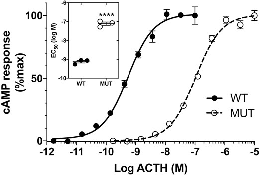 Mutant adrenocorticotropin (ACTH)KRR (MUT) is less potent than wild-type ACTHKKRR (WT) in stimulating MC2R. Cyclic adenosine 5′-monophosphate (cAMP) response in MC2R-MRAP HEK-293 cells stimulated with ACTHKRR and ACTHKKRR (n = 3, doses in triplicate. Difference in half-maximal effective concentration (EC50); ****P < .0001).