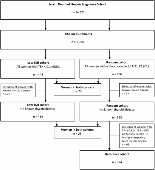 Flowchart of the study population illustrating the selection of the “low TSH cohort,” the random cohort, and the reference cohort.