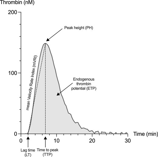 Representation of a thrombin generation curve and associated parameters that are provided by the software analyzing the thrombogram.
