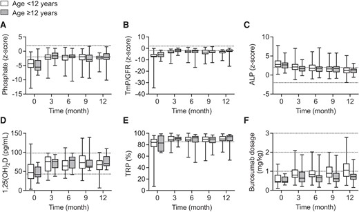 Parameters of mineral metabolism and burosumab dosage in 93 children and adolescents with XLH treated with burosumab over a period of 12 months. Standardized values of serum phosphate (A), tubular maximum reabsorption of phosphate per glomerular filtration rate (TmP/GFR) (B), and alkaline phosphatase (ALP) (C) as well as serum 1,25-dihydroxyvitamin D3 (1,25(OH)2D) (D), fractional tubular reabsorption of phosphate (TRP) (E) and (F) weight-related burosumab dose are given. Box plots indicate median, interquartile range, and min/max, respectively. In both children and adolescents, all parameters of mineral metabolism (ie, serum phosphate, TmP/GFR, and ALP) significantly differed at all time points when compared with baseline (each P < .01). Dotted horizontal lines indicate upper and lower limit of normal (A–D, F) and lower limit of normal (E), respectively.