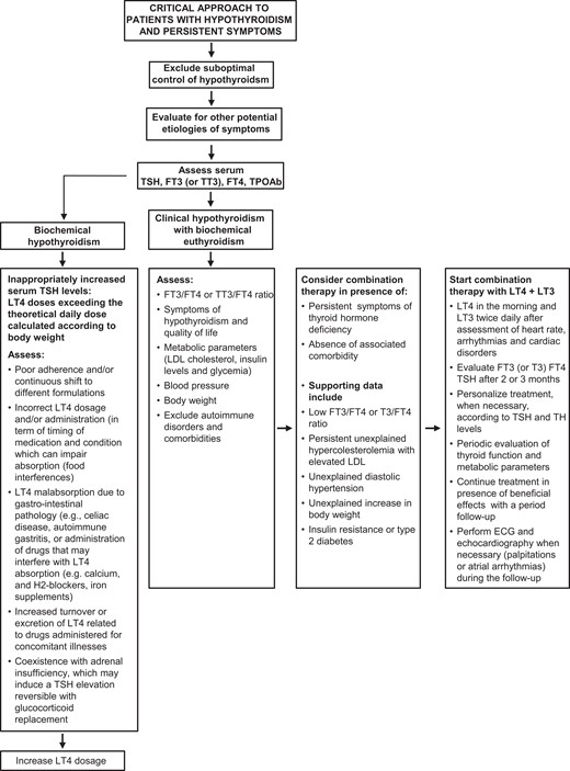Critical approach to patients with hypothyroidism and persistent symptoms.
