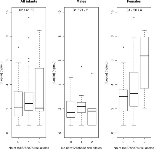 Leptin levels at age 3 months by rs12785878 genotype: TT, GT, GG, where G is the diabetes risk–increasing allele. Genotype frequencies are listed in legends.