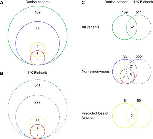 Overview of GLP1R variants found in the Danish and UK Biobank cohorts. The green circle shows the total number of variants in exome regions with 50 bp overhangs, the blue circle shows the nonsynonymous variants, the yellow circle displays the number of predicted loss-of-function variants, and the red circle shows in vitro determined loss-of-signaling variants. A, Danish cohorts (solid line); B, UK Biobank (dashed line); C, Comparison of the variants found in the Danish cohorts and the UK biobank cohort. The numbers outside the circles represent the total number of variants within a given group.
