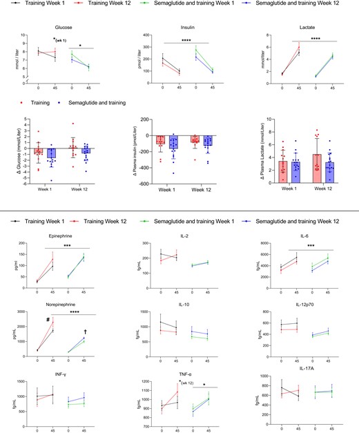 Response to an acute 45 minute bout of exercise in the first week and in the last week of the training intervention. The intensity was adjusted to 70% of V̇O2max. Black lines are the first week of training alone, and red bars are the 12th week. Green lines are the first week of combined training and semaglutide, and blue lines are the 12th week of combined training and semaglutide. Asterisks indicate a change with acute exercise within the group and time point. *P < .05, ***P < .001, and ****P < .0001. #Difference in response to acute exercise from week 1 to 12 within the group (P < .05). †Difference in response to acute exercise between the groups in weeks 1 and 12 (P < .001). Changes were evaluated by mixed-effects analysis and the Šidák method was used to adjust for multiple comparisons. Mean values are presented with standard errors (I-bars) or individual values with bars for comparison between the groups.