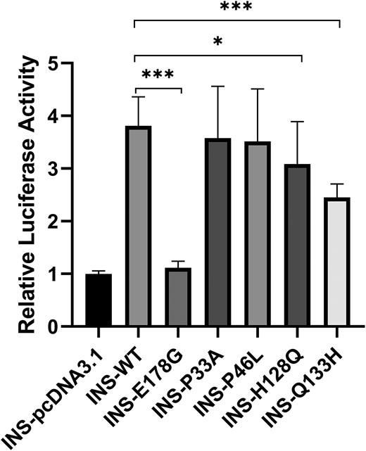 Dual-luciferase reporter assay of constitutive PDX1 variants. As described in “Materials and Methods,” 293 T cells were transfected with wild-type and rare variants of PDX1 expression vectors and INS reporter plasmid. The luciferase activity was relative to the INS-pcDNA3.1 group.