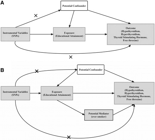 Flowchart of the study design. A, MR analysis framework; B, illustrative diagram for the mediation MR analysis framework. The figures show 3 assumptions for instrumental variable commonly required in MR analysis. Dotted lines represent possible ways that the assumptions could be violated. MR, mendelian randomization; SNP, single-nucleotide polymorphism (now known as single-nucleotide variation; SNV).