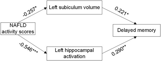 Structural equation model defining the hippocampal alterations involved in the association of NAS with delayed memory. Numbers next to arrow lines represent standardized path coefficients. NAS, nonalcoholic fatty liver disease activity score. *P < .05, **P < .01, and ***P < .001 were considered significant.